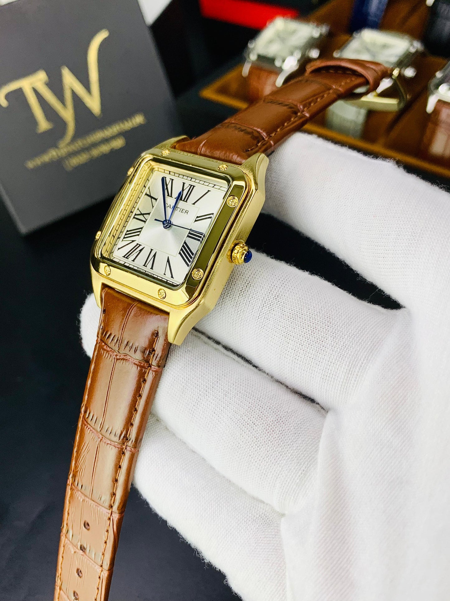Cartier Santos Brown Golden