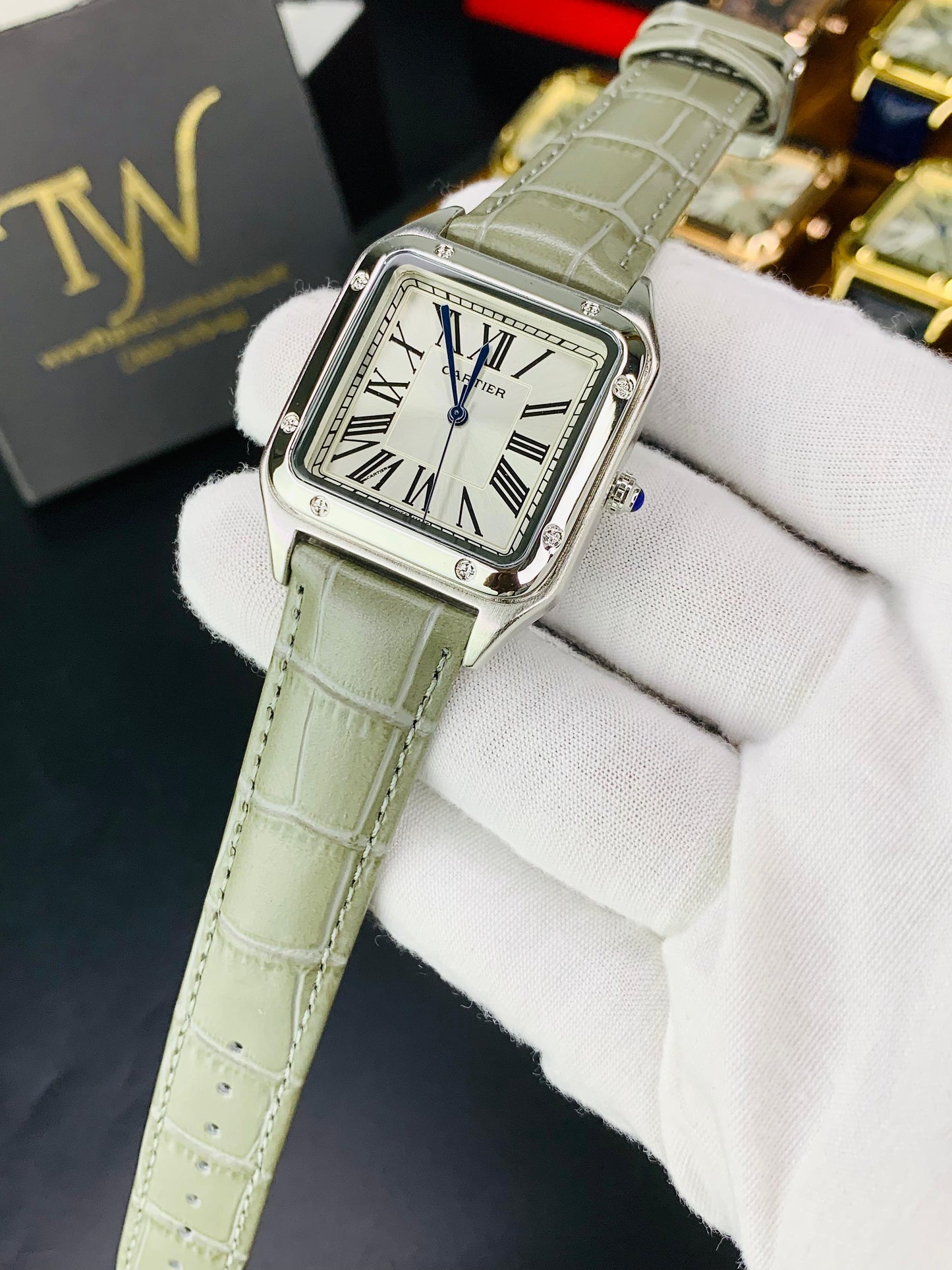 Cartier Santos Grey White