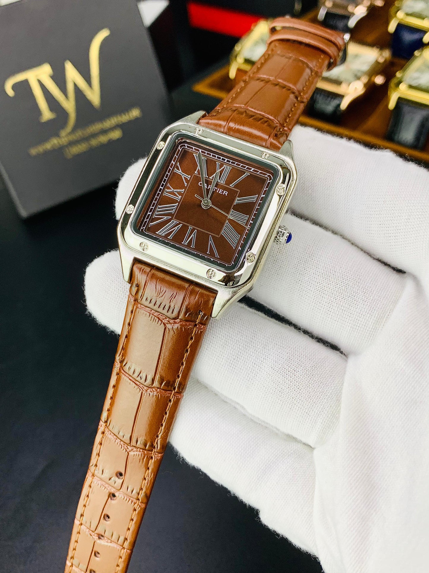 Cartier Santos In Brown